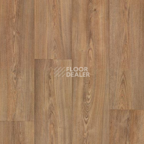 Линолеум Forbo Eternal Wood 10362 warm chestnut фото 1 | FLOORDEALER